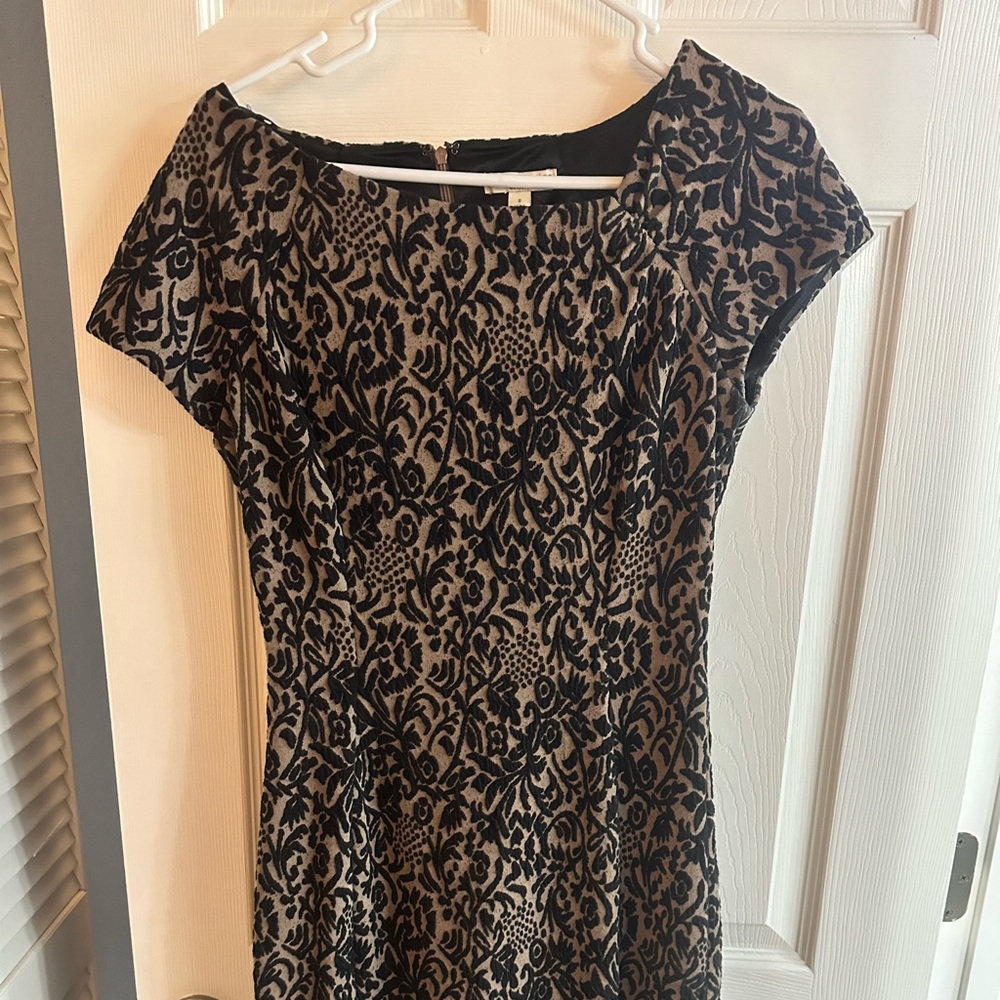 Eva Mendes New York and Co Dress